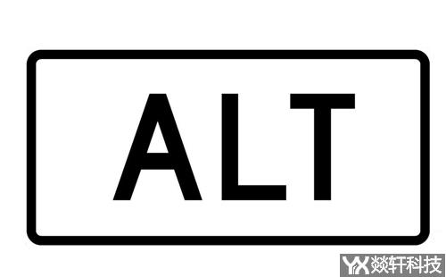 Alt标签 Alt标签